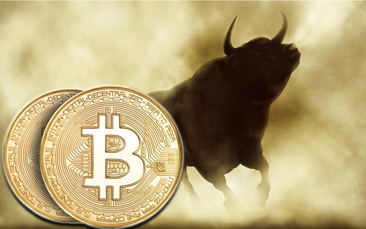 bitcoin bull run