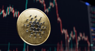 Cardano ADA whales