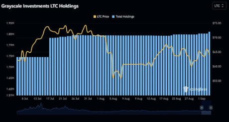 LTC 1